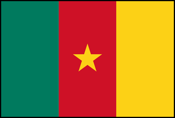 Cameroon Flag